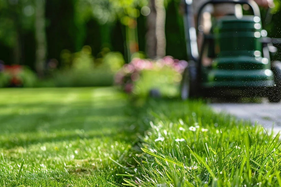 what is the best cordless lawn mower